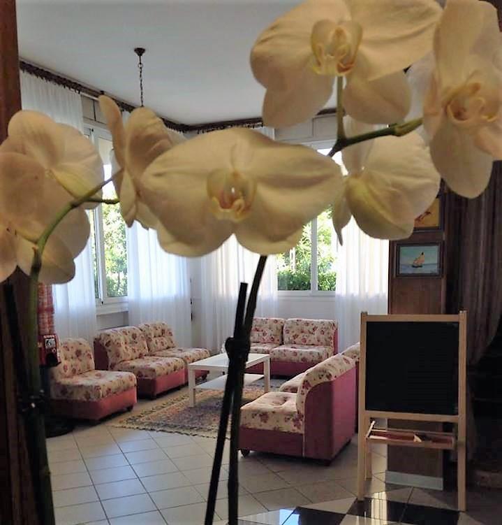 Hotel Primula Лидо-ди-Савио Экстерьер фото